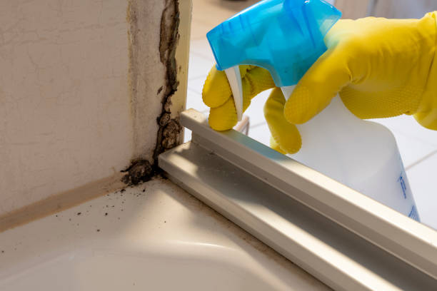 Water Damage Restoration in Lake Charles, LA